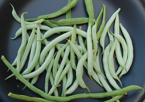 ice crystal wax beans