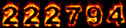 net visitor statistics