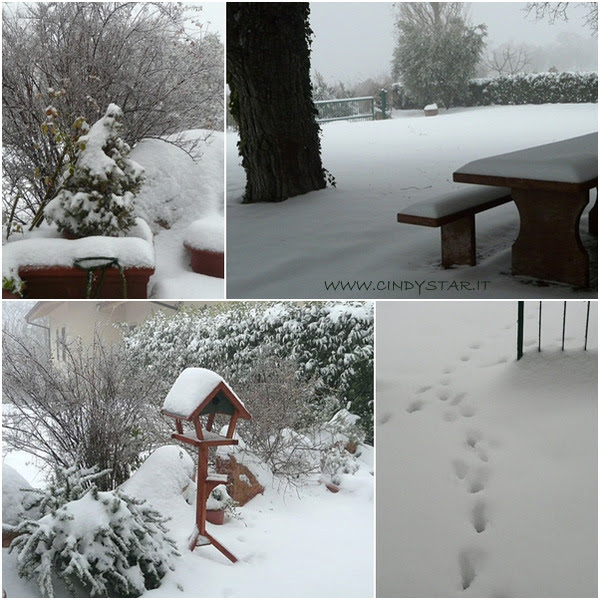 neve 22.XII