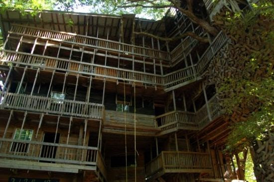 CiIQs The Worlds Tallest Treehouse
