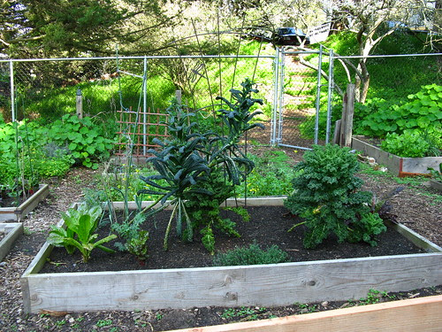 White Crane Springs Community Garden; San Francisco