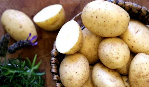 فوائد البطاطس