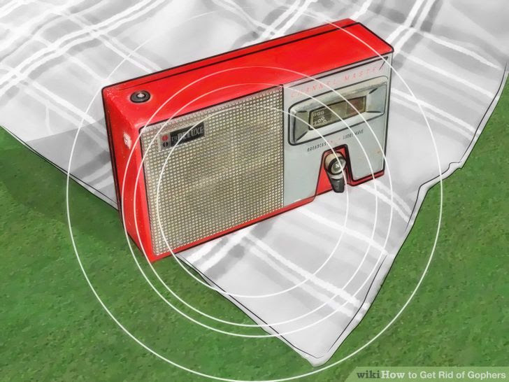 Get Rid of Gophers Step 4 Version 4.jpg