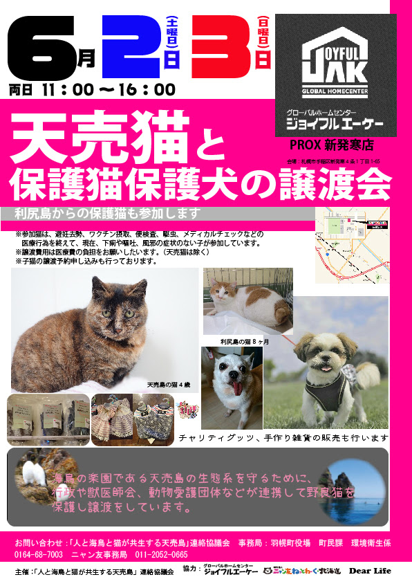 06/02~06/03】天売猫と保護猫保護犬の譲渡会  「人と海鳥と猫が共生 