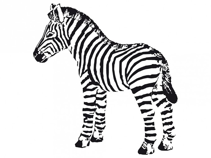 Cute Zebra Coloring Pages