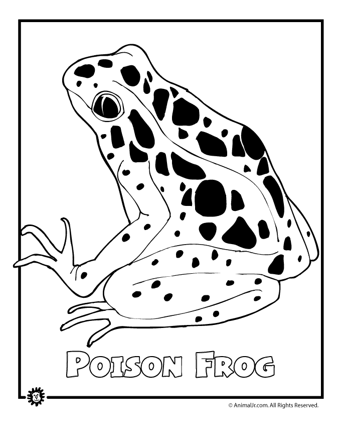 Free Printable Rainforest Coloring Pages - Coloring Home