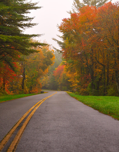 Blue Ridge parkway Road Level