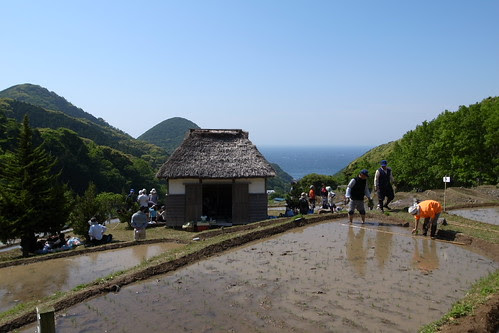 棚田2011　松崎町