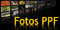 Fotos PPF
