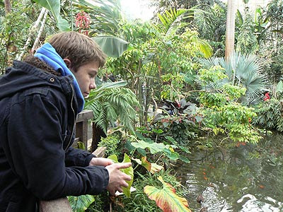 clem devant les carpes Koï.jpg