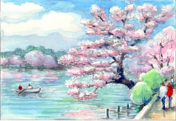 スケッチの描き方 桜と池: 塗り絵で癒し 風景画 花の絵