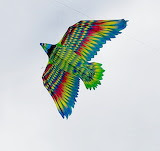aguila - online jigsaw puzzle - 20 pieces