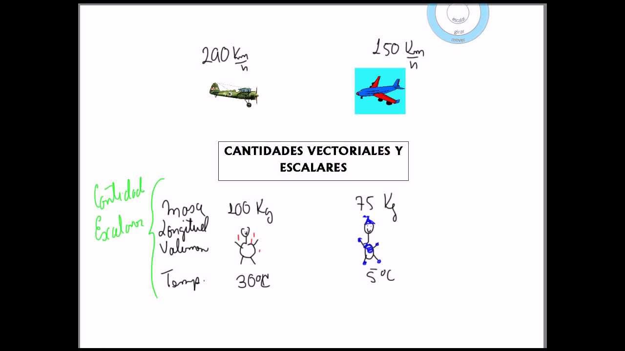 Cantidades Escalares y Vectoriales. YouTube