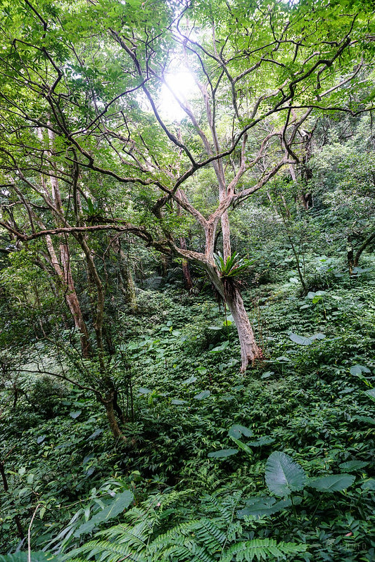 DSC06244