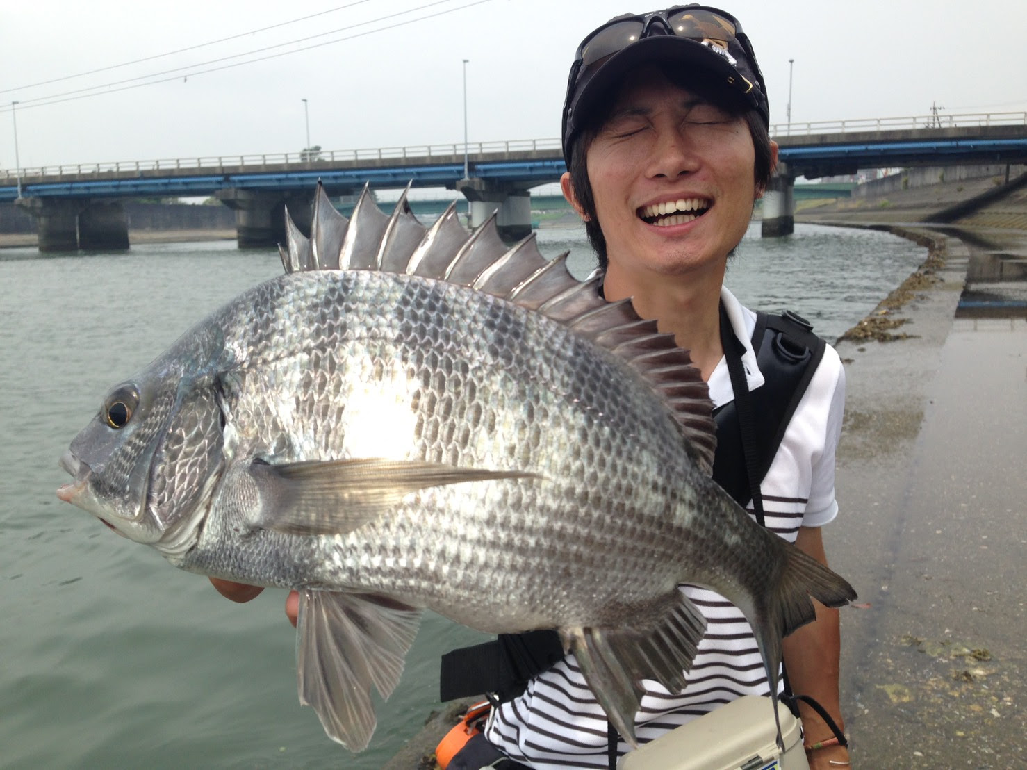 ルアーマンにこそやってほしい 落とし込み釣りのすゝめ 六畳一間の狼ブログ
