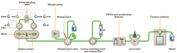 Fast Protein Liquid Chromatography | LSR | Bio-Rad