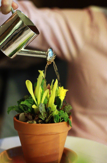 Mandarin Grill Hong Kong