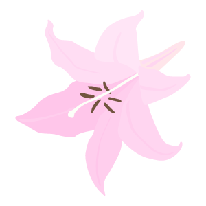 ユリの花のイラスト7 花 植物イラスト Flode Illustration フロデイラスト