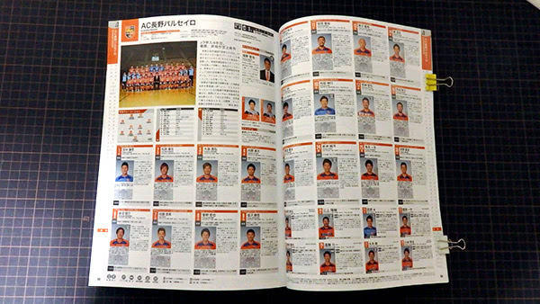 ｊリーグ選手名鑑17 レビュー ぬけがら