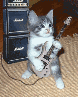 Metallicat