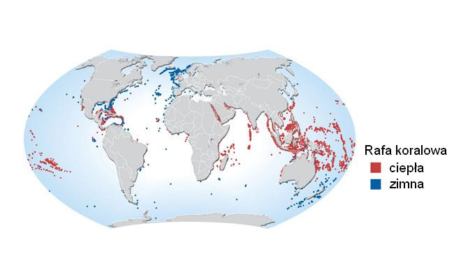 rafy koralowe mapa swiata Oceany.  Występowanie rafy koralowej