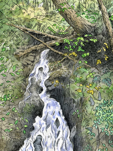 Feeding the Green River