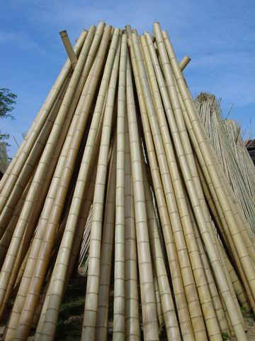 Bamboo Poles - Frank s Cane and Rush Supply