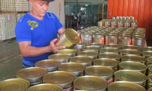 Cosecheros de frutas de todo el país visitarán la pequeña industria La Calendaria, una experiencia a imitar en provincias donde no abundan las plantaciones de cocoteros