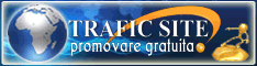 optimizare web