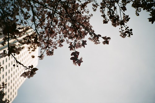 spring