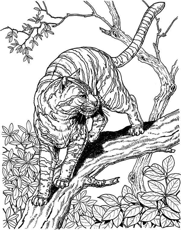 Super Hard Coloring Pages at GetColorings.com | Free ...