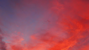 Red Aesthetic / Pin by omer palane on Mine board | Aesthetic wallpapers, Red aesthetic, Hipster wallpaper