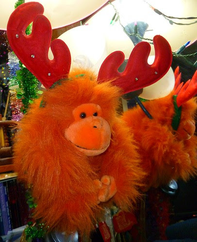 Ready for the holidays