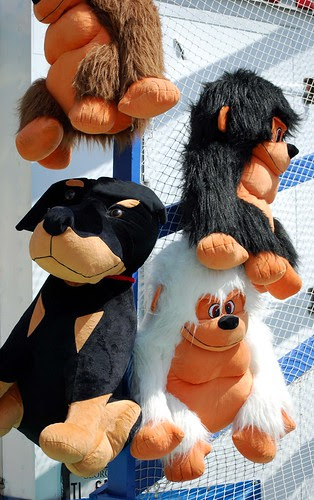 toy animals