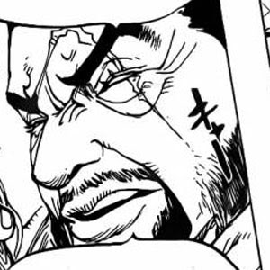 イッショウ 藤虎 の詳細 ワンピースキャラガイド