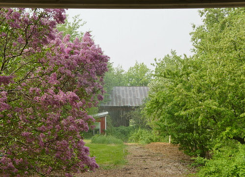 DSC06936