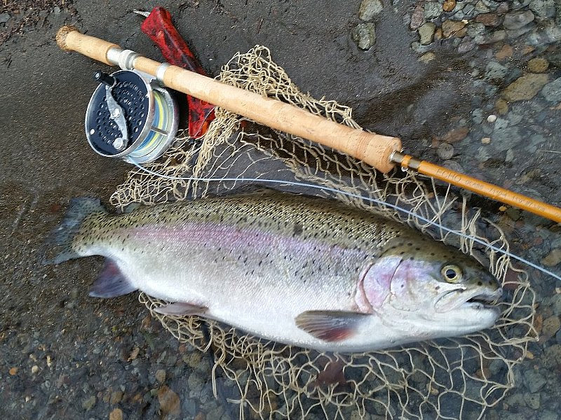 ２０１６年 神奈川県 芦ノ湖の解禁 人生を楽しくするクルマ遊びさいと くるびー