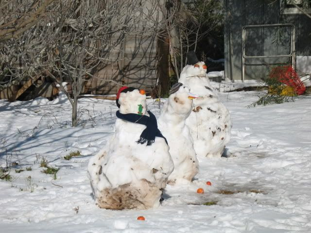 Shiloh Snow 12