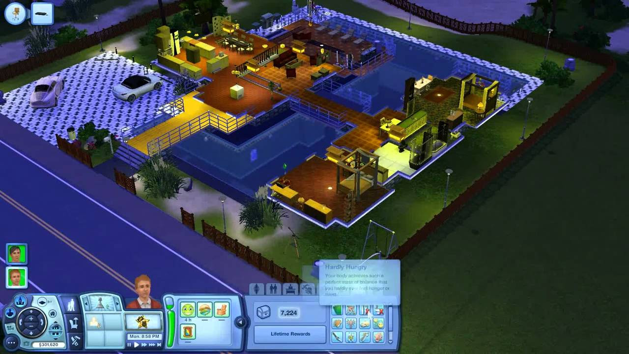 The Sims 3 Cheats Lifetime Happiness