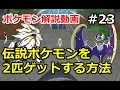 ポケモン サンムーン 伝説 ポケモン 716406