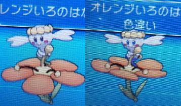 色違いに釘付け フラベベ オレンジ Xy