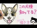 √ かっこいい ハスキー イラスト 342778-ハスキー イラスト かっこいい