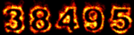 web site hit counters