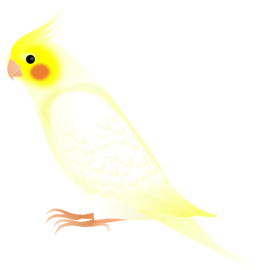 オカメインコのイラスト 無料イラスト素材 ちいさないきもの