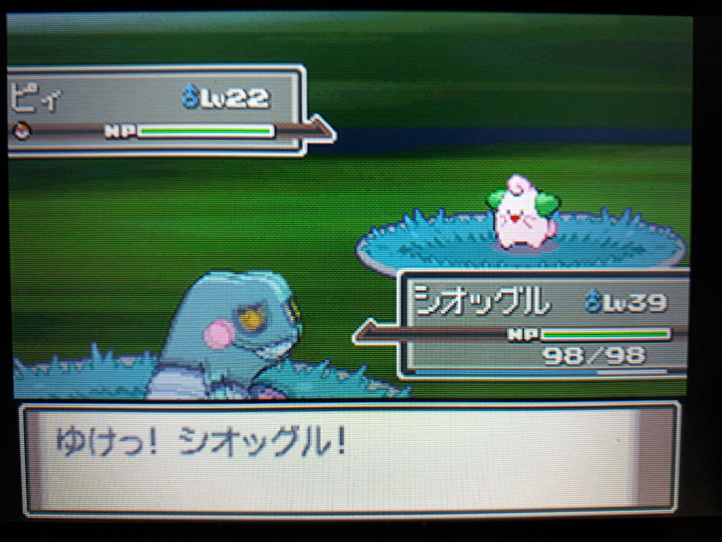 ポケトレ実践 プラチナ ピィとププリンはズッ友 彡 塩 わい的ポケ色廃人