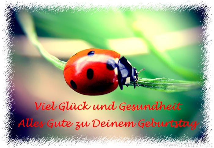 glückwünsche zum geburtstag originelle texte
