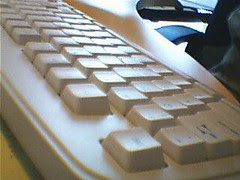 Picture 063