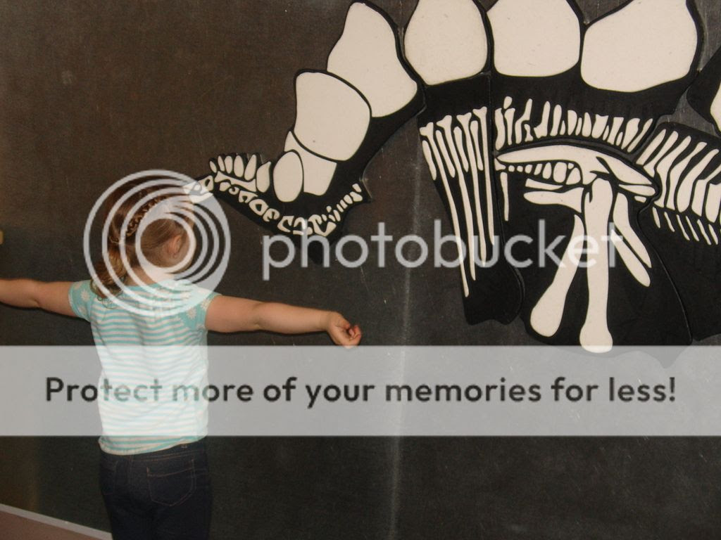  photo DSC02408_zps9vetefie.jpg