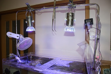 Carry On 照明スタンド作りました