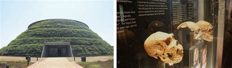 cradle  humankind world heritage site gauteng